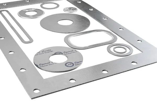 Pure Graphite and Metal-Reinforced Gaskets - Image 2