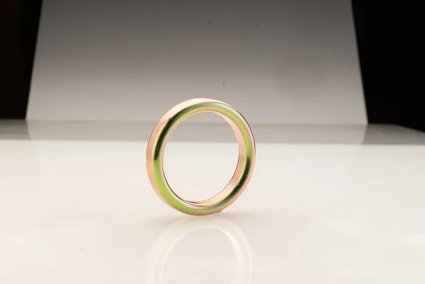 Ring Joint - Image 5