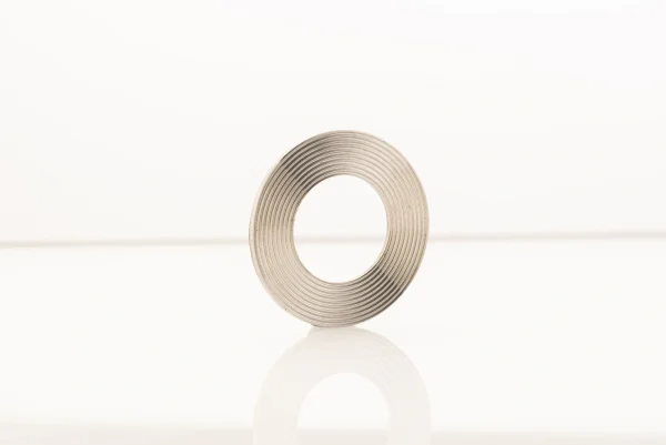 Camprofile (Grooved) Gaskets - Image 2