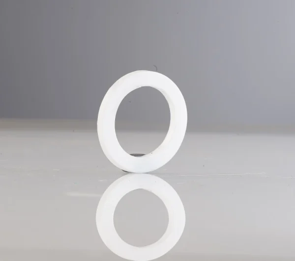 Teflon (PTFE) Gaskets - Image 4
